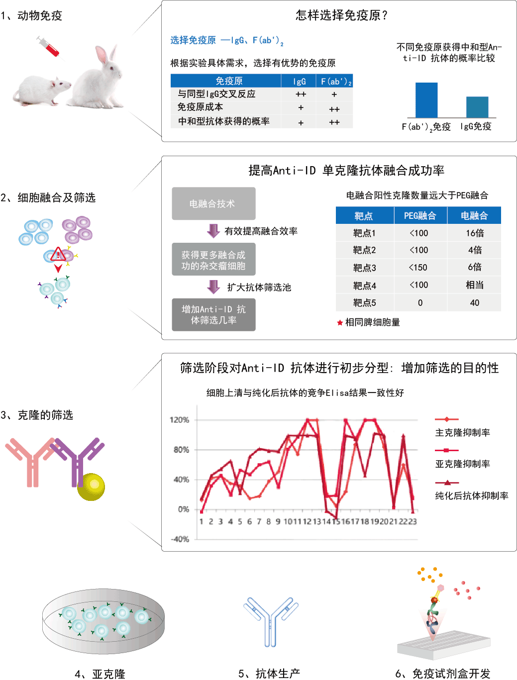 抗独特型单抗开发流程示意图